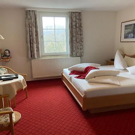 Guest house Muldenschlosschen 3*